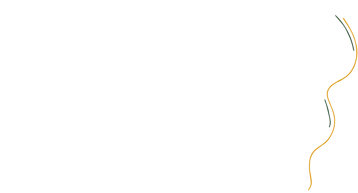 ip2-62