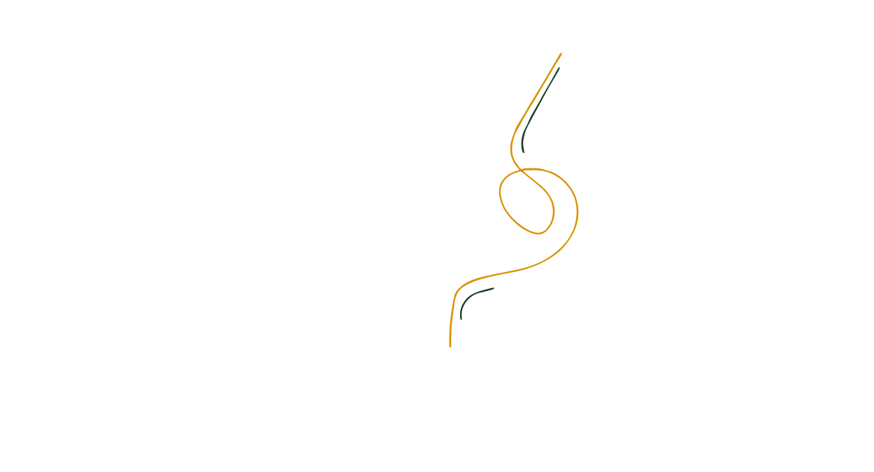 ip2-63
